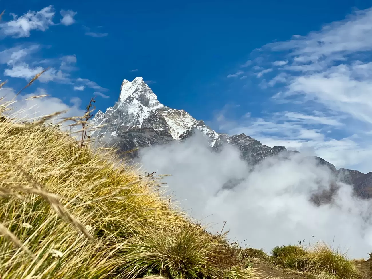 Family Holiday in Nepal
