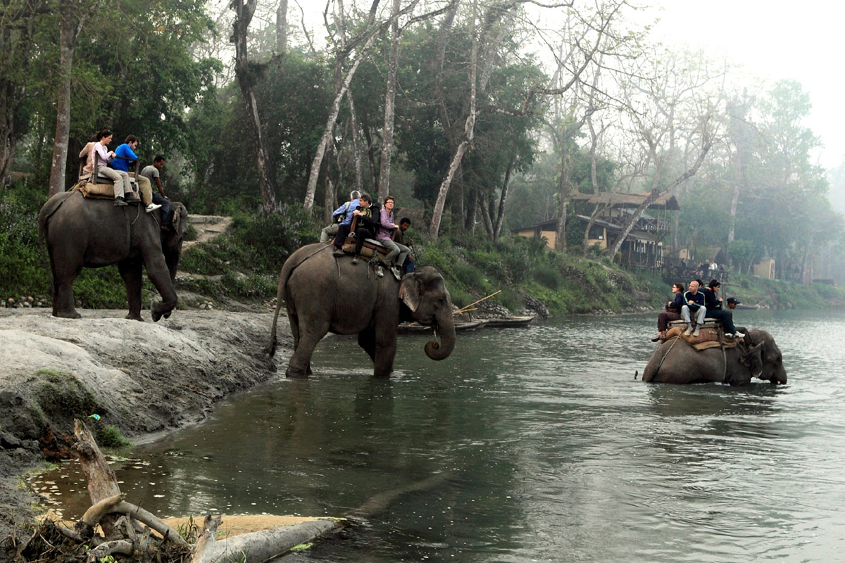 Chitwan Jungle Safari